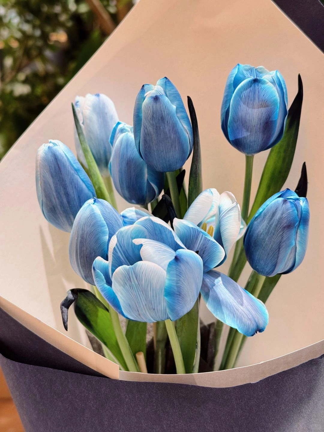 16629d552b0cb20cd85a1b13139c0f3f