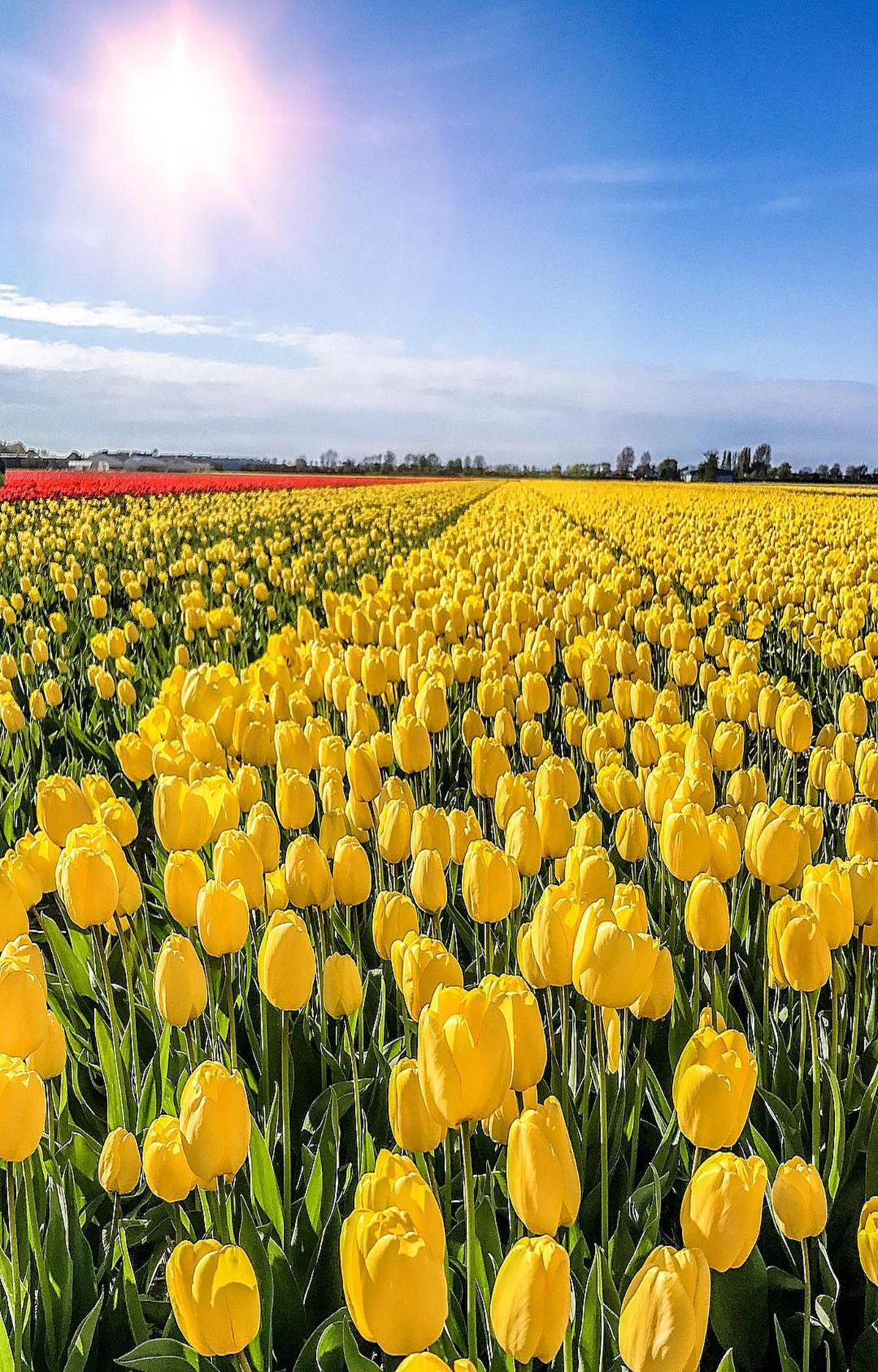 690642099c8d56c7ceb6de205319dab4