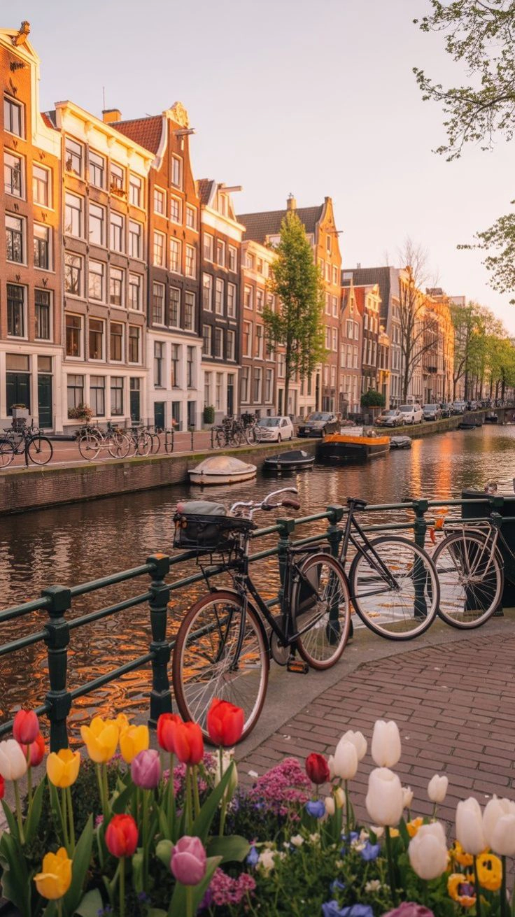valigia perfetta per Amsterdam