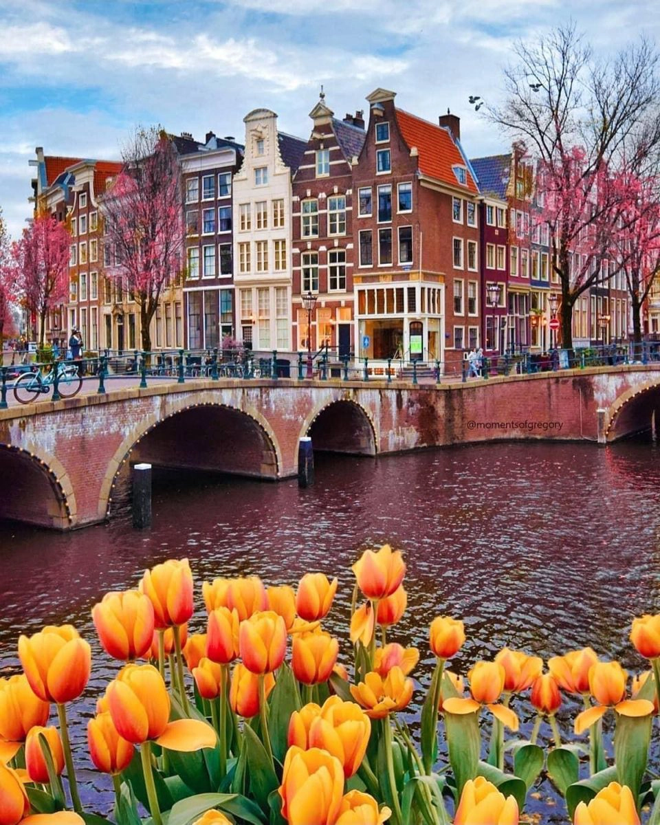 valigia perfetta per Amsterdam con Hybrid